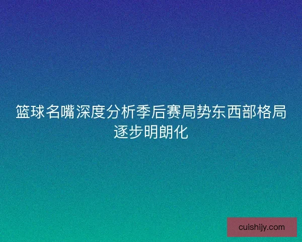 篮球名嘴深度分析季后赛局势东西部格局逐步明朗化
